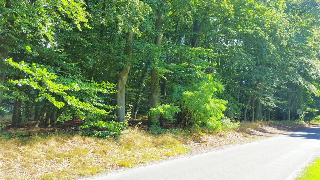 Ferienwohnung Strudthoff Ganderkesee Eksteriør billede